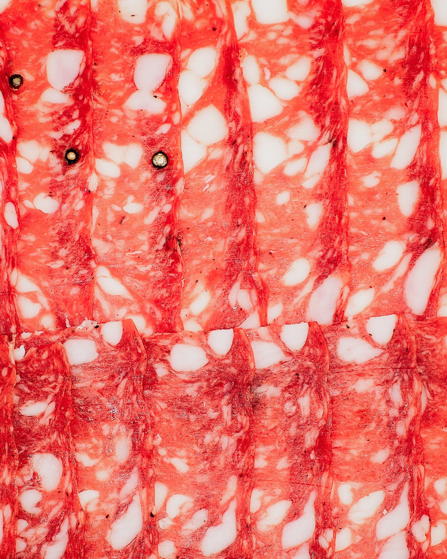 Salamino al Finocchio