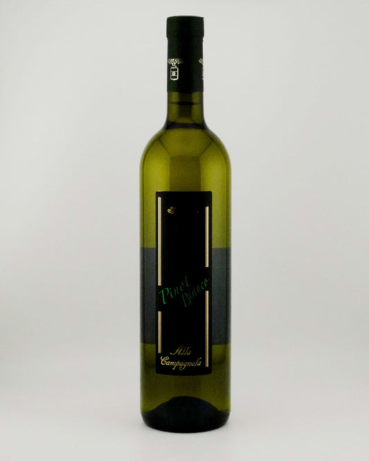 Pinot Bianco from Veneto on a white background