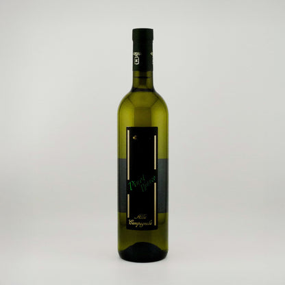 Pinot Bianco Veneto IGT