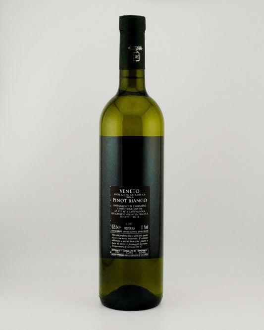 Back of a  Pinot Bianco from Veneto on a white background