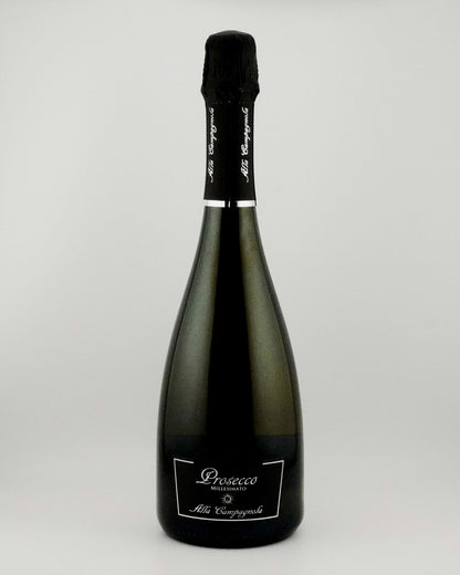 Prosecco DOG on a white background